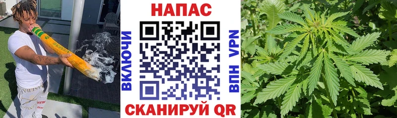 Купить  Окуловка  Марихуана OG Kush 